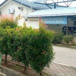 Klinik Kesihatan Mental Terbaik di Kuantan
